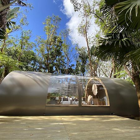 Bubble Lodge Bois Cheri Plantation Εξωτερικό φωτογραφία