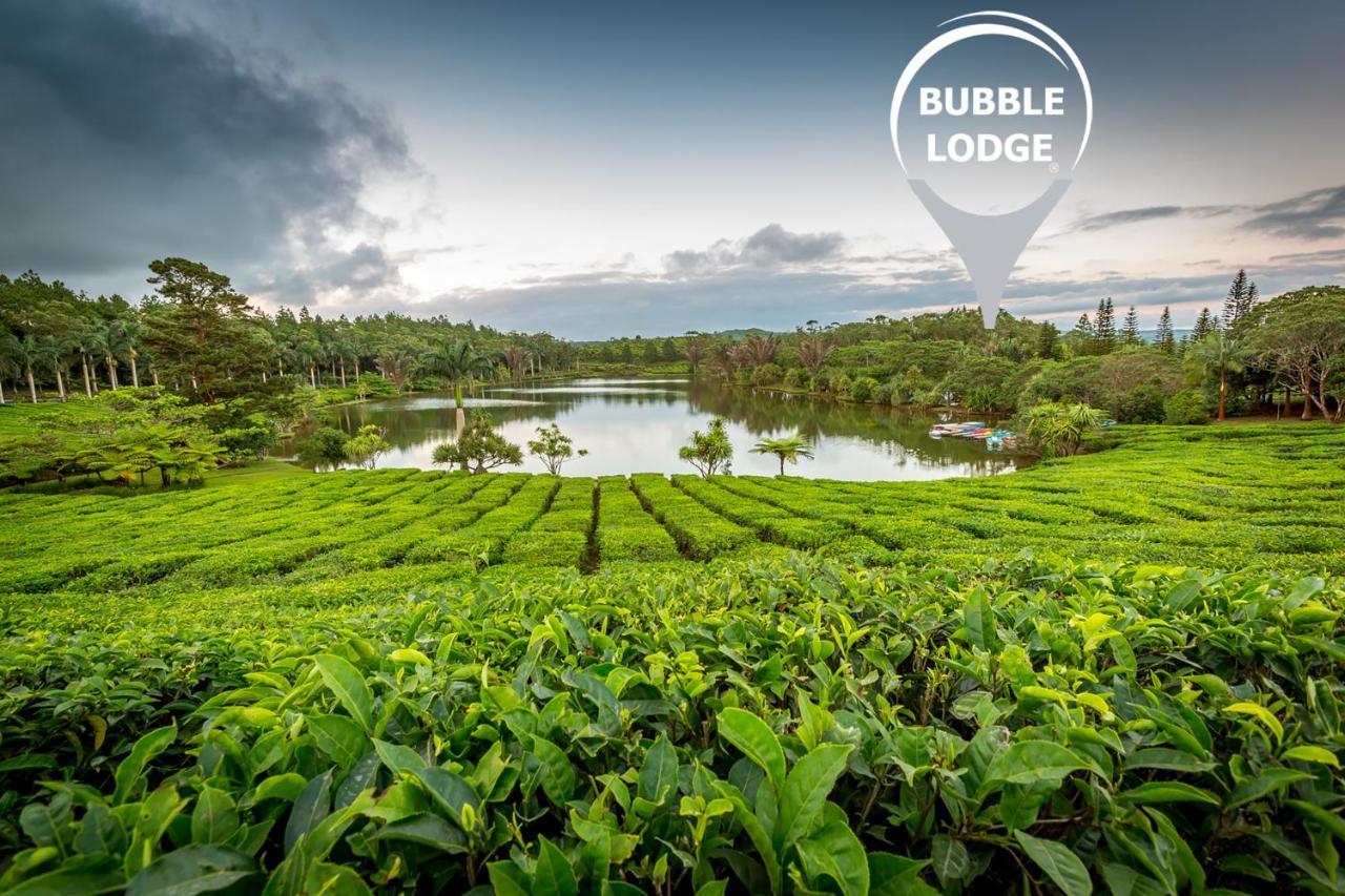 Bubble Lodge Bois Cheri Plantation Εξωτερικό φωτογραφία