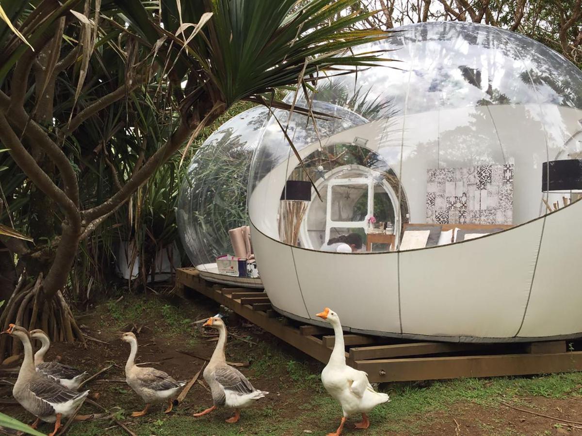 Bubble Lodge Bois Cheri Plantation Εξωτερικό φωτογραφία