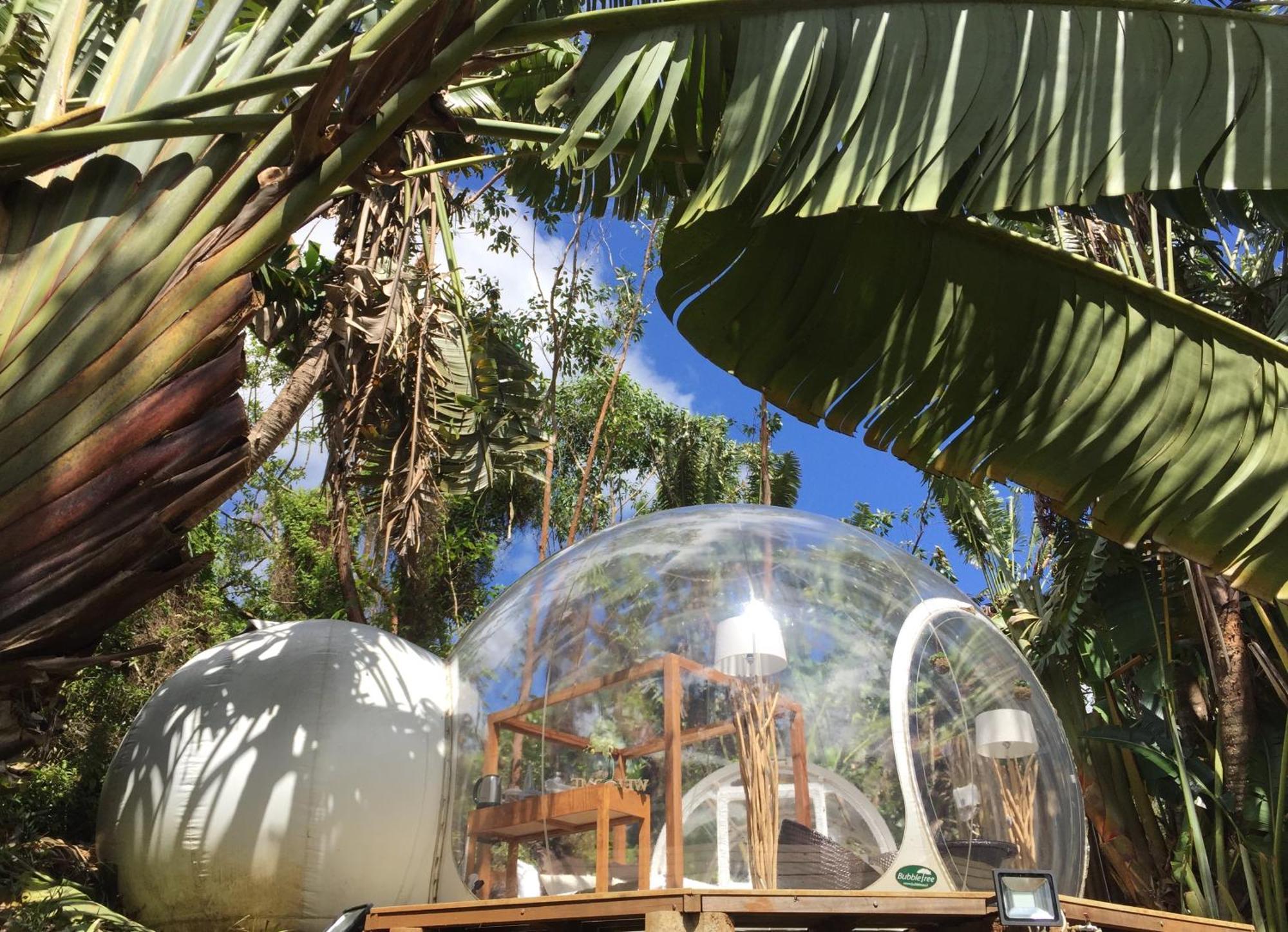 Bubble Lodge Bois Cheri Plantation Εξωτερικό φωτογραφία