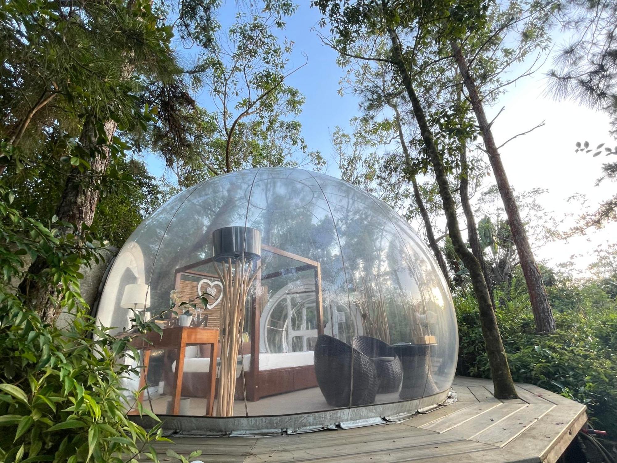 Bubble Lodge Bois Cheri Plantation Εξωτερικό φωτογραφία