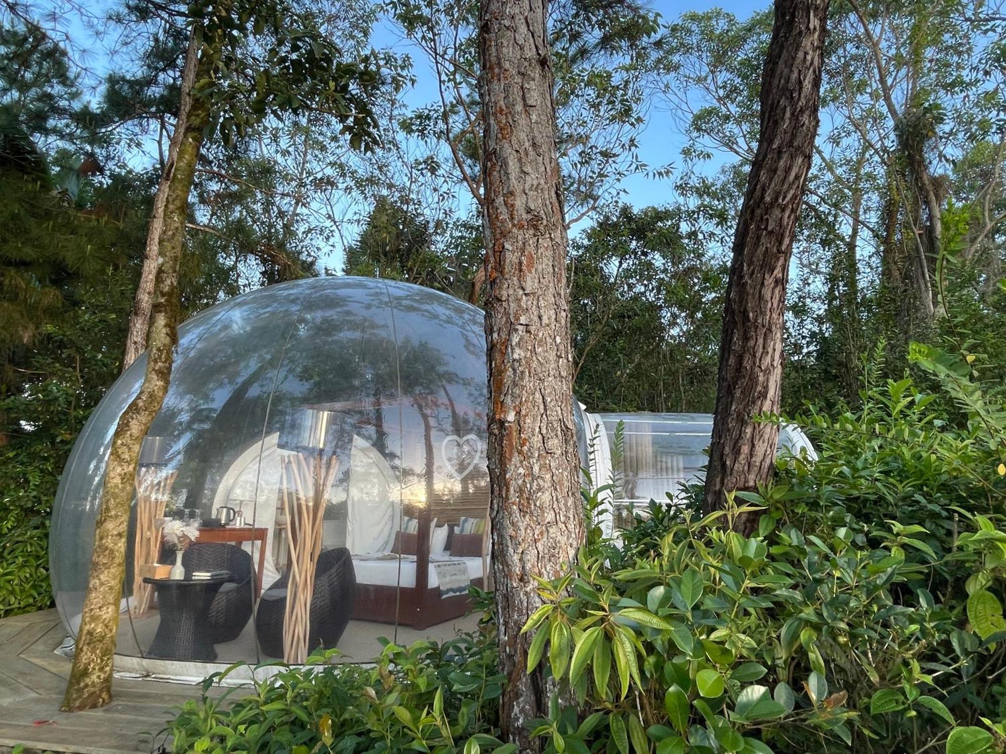 Bubble Lodge Bois Cheri Plantation Εξωτερικό φωτογραφία