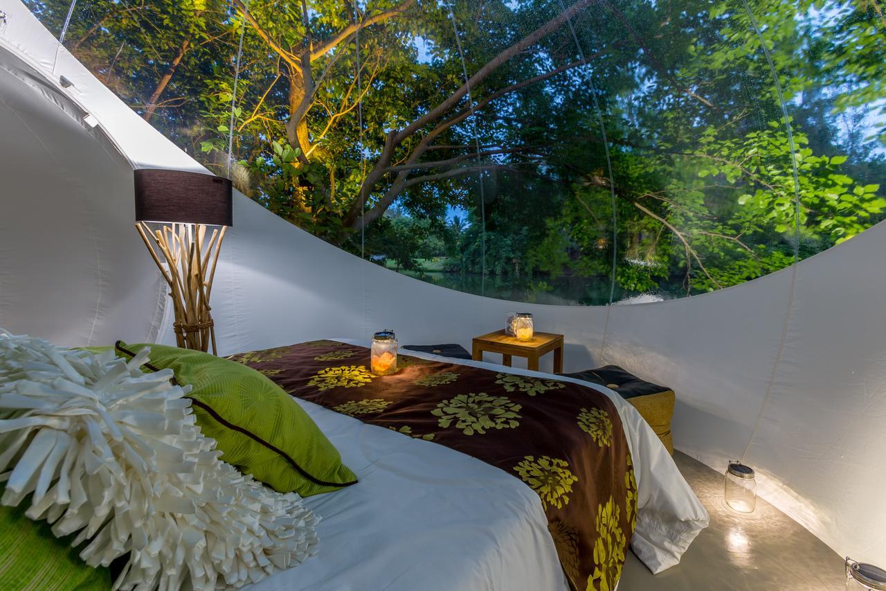 Bubble Lodge Bois Cheri Plantation Εξωτερικό φωτογραφία